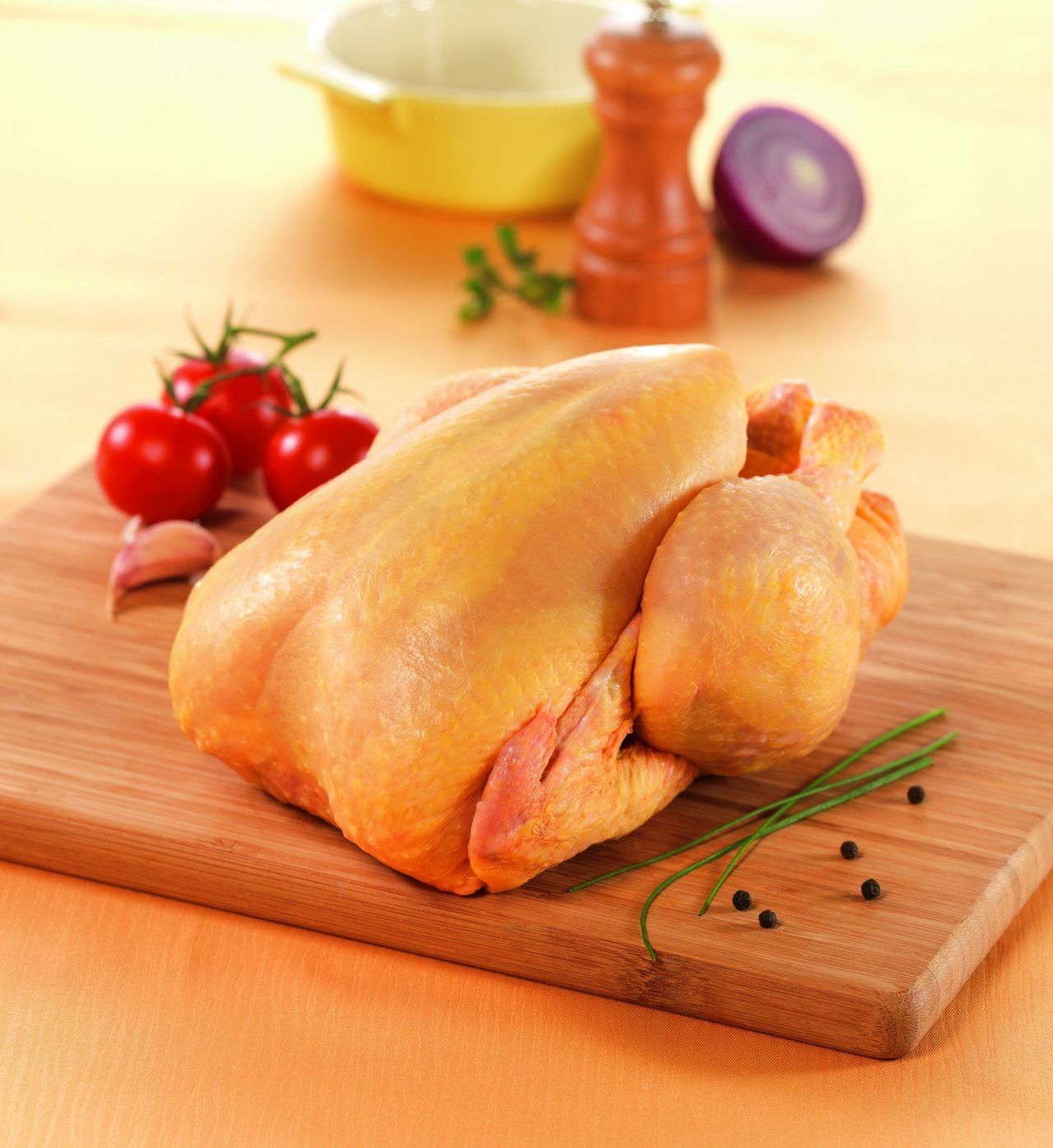 Grossiste de poulet Gastronome Professionnels