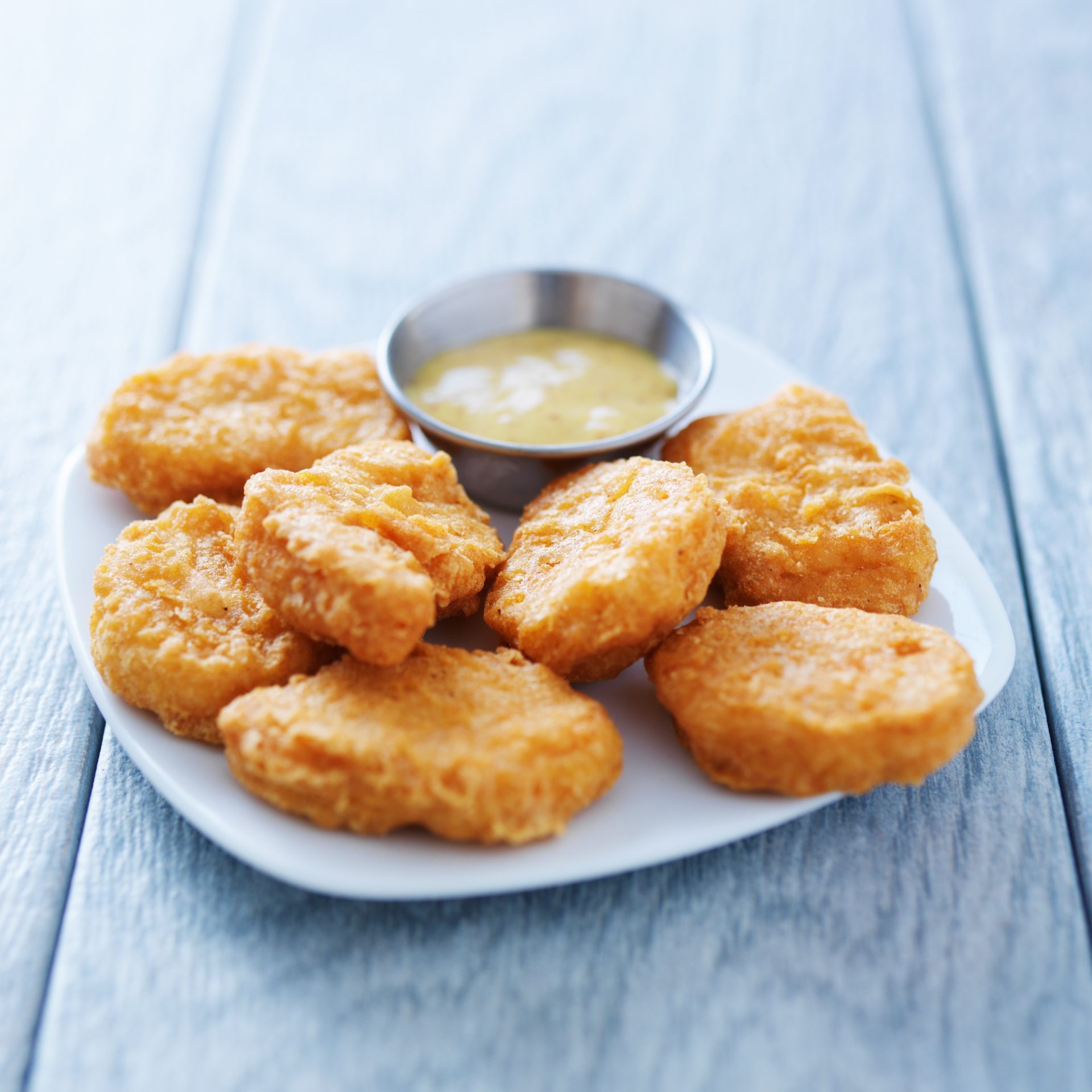 Nuggets Gastronome Professionnels