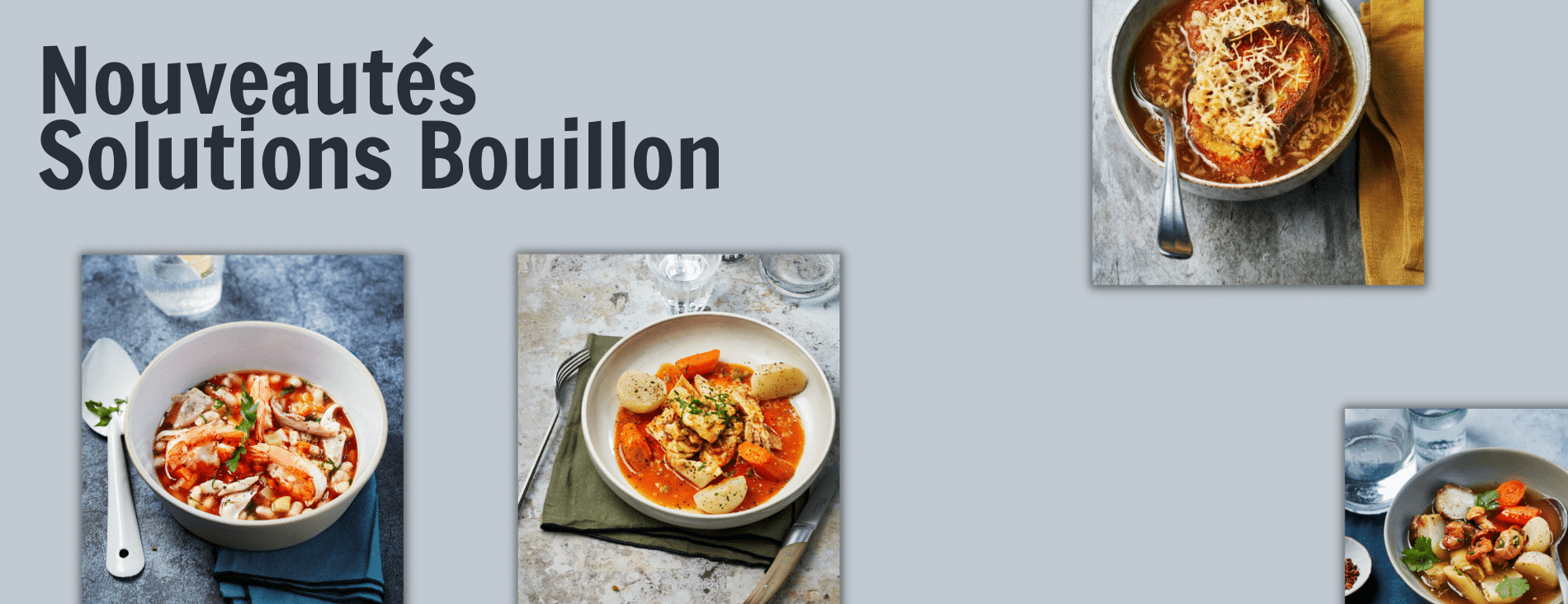 Livret Solutions bouillon gastronome professionnels solutions volaille